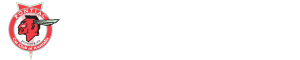 Pontiac Car Club of Australia (NSW Chapter) Inc.