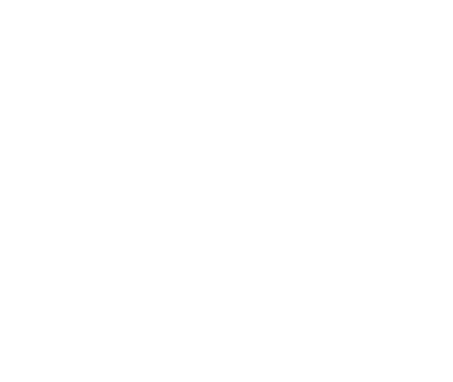Rumble in Rocko Incorporated