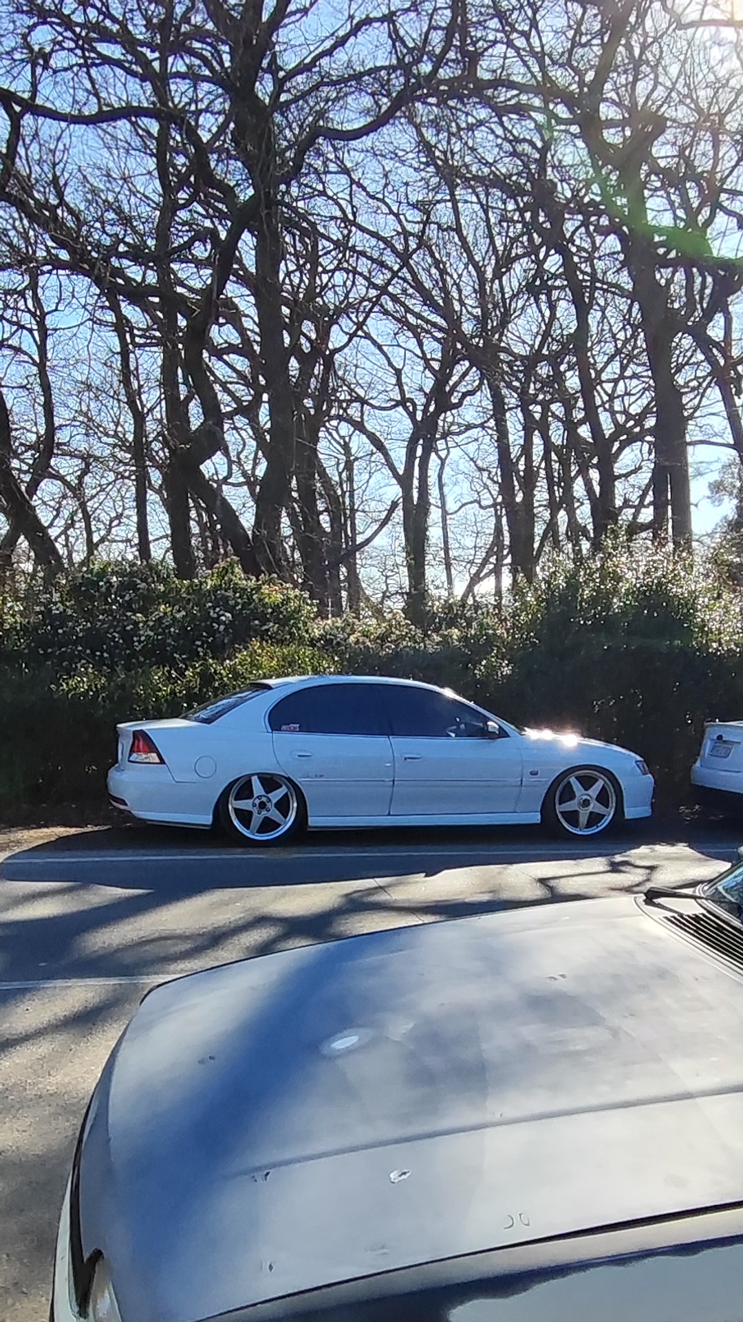 Adelaide Hills COFFEE RUN! Gumeracha, part 1 of 38.
Holden Kingswood HQ · RDX207
White lowered sedan #1
Ford Falcon BA