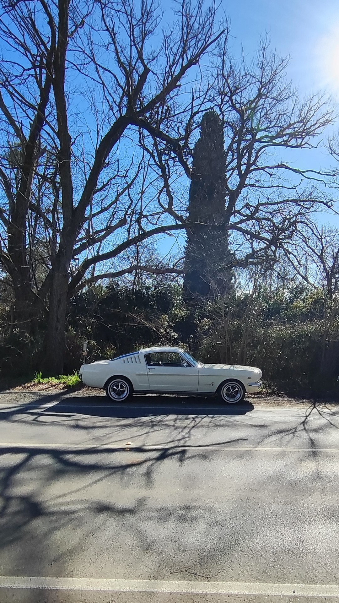 Adelaide Hills COFFEE RUN! Gumeracha, part 2 of 38.

Ford Pickup
White Ford Mustang 1st Gen #1
Toyota Hilux · S020CUO
Fo