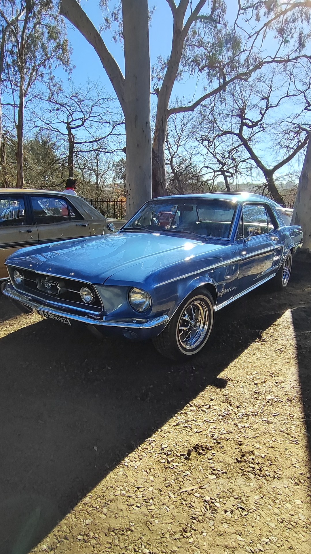 Adelaide Hills COFFEE RUN! Gumeracha, part 15 of 38.

Blue Ford Mustang 1st Gen #1
Black Chevrolet Camaro 1st Gen #1 · S