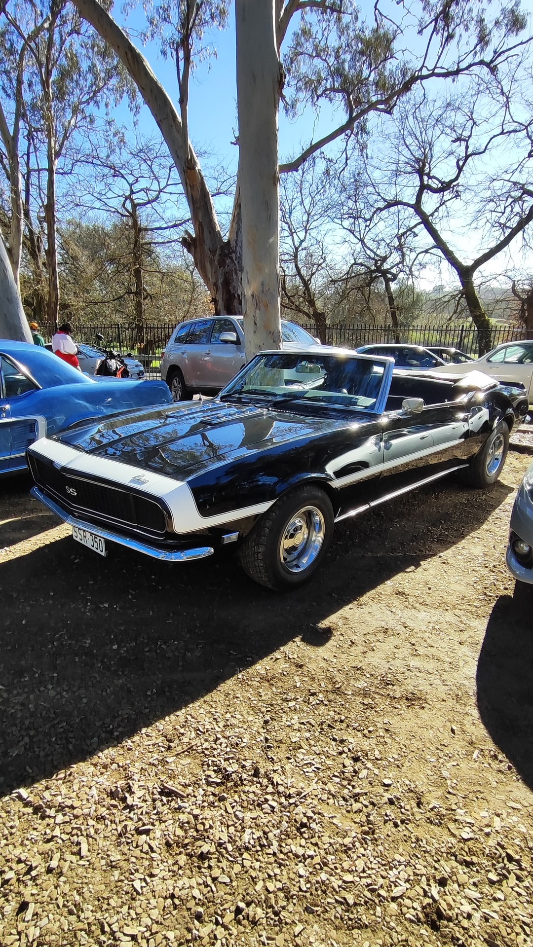 Adelaide Hills COFFEE RUN! Gumeracha, part 15 of 38.

Blue Ford Mustang 1st Gen #1
Black Chevrolet Camaro 1st Gen #1 · S