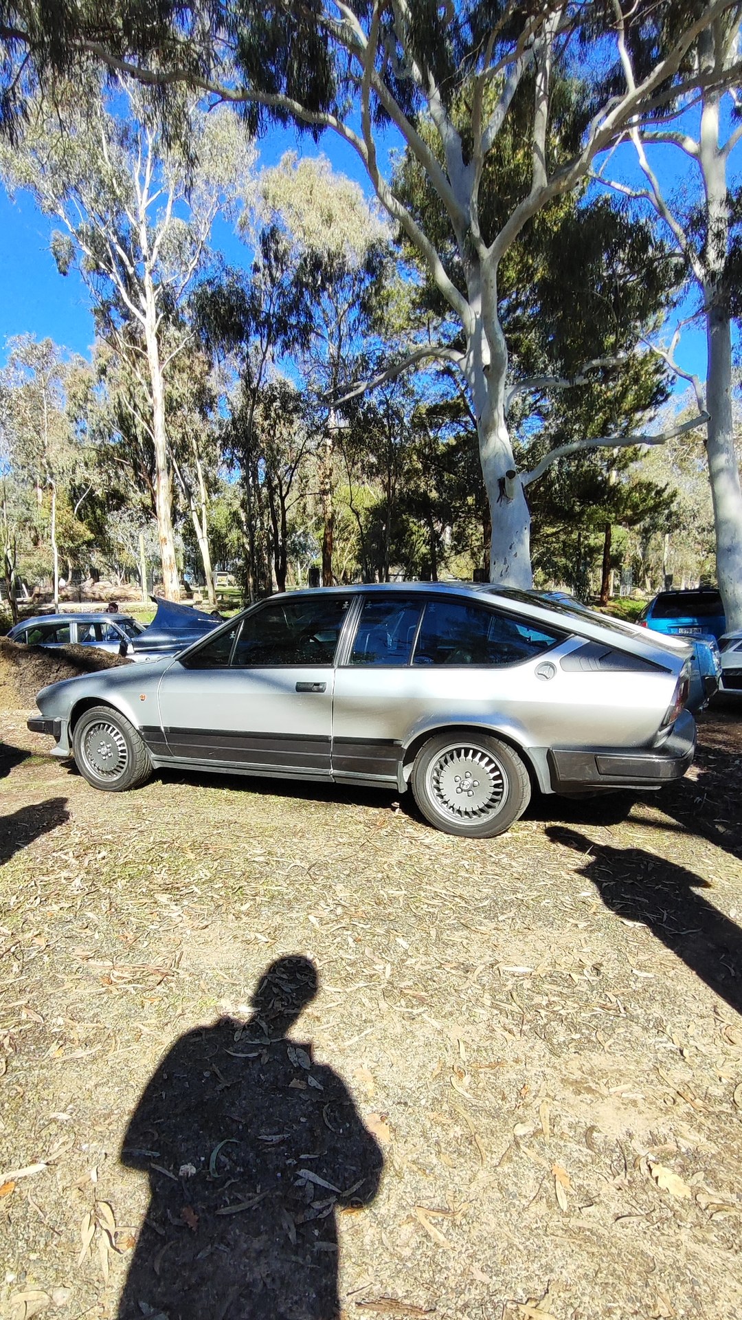 Adelaide Hills COFFEE RUN! Gumeracha, part 20 of 38.

Alfa Romeo GTV · XA116N
White Ford Falcon #1
Blue Ford Mustang 1st