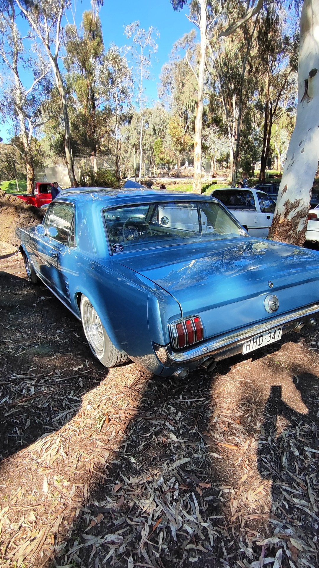 Adelaide Hills COFFEE RUN! Gumeracha, part 20 of 38.
Alfa Romeo GTV · XA116N
White Ford Falcon #1
Blue Ford Mustang 1st