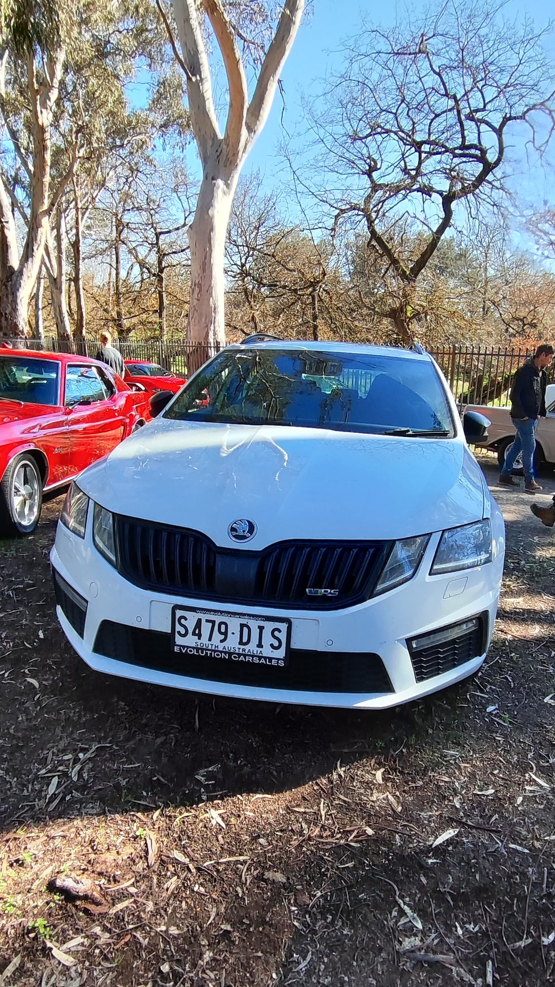 Adelaide Hills COFFEE RUN! Gumeracha, part 21 of 38.
Skoda Octavia · S479DIS
Red Ford Mustang 1st Gen · 69COUPE
Holden