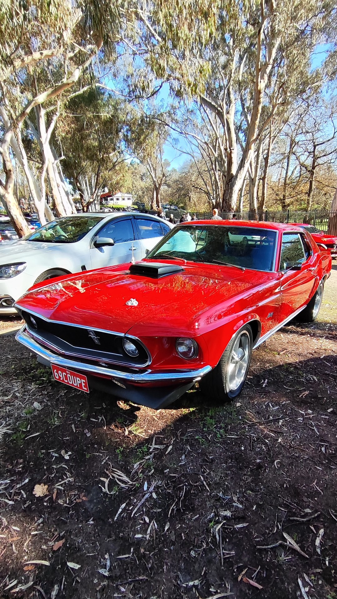 Adelaide Hills COFFEE RUN! Gumeracha, part 21 of 38.
Skoda Octavia · S479DIS
Red Ford Mustang 1st Gen · 69COUPE
Holden