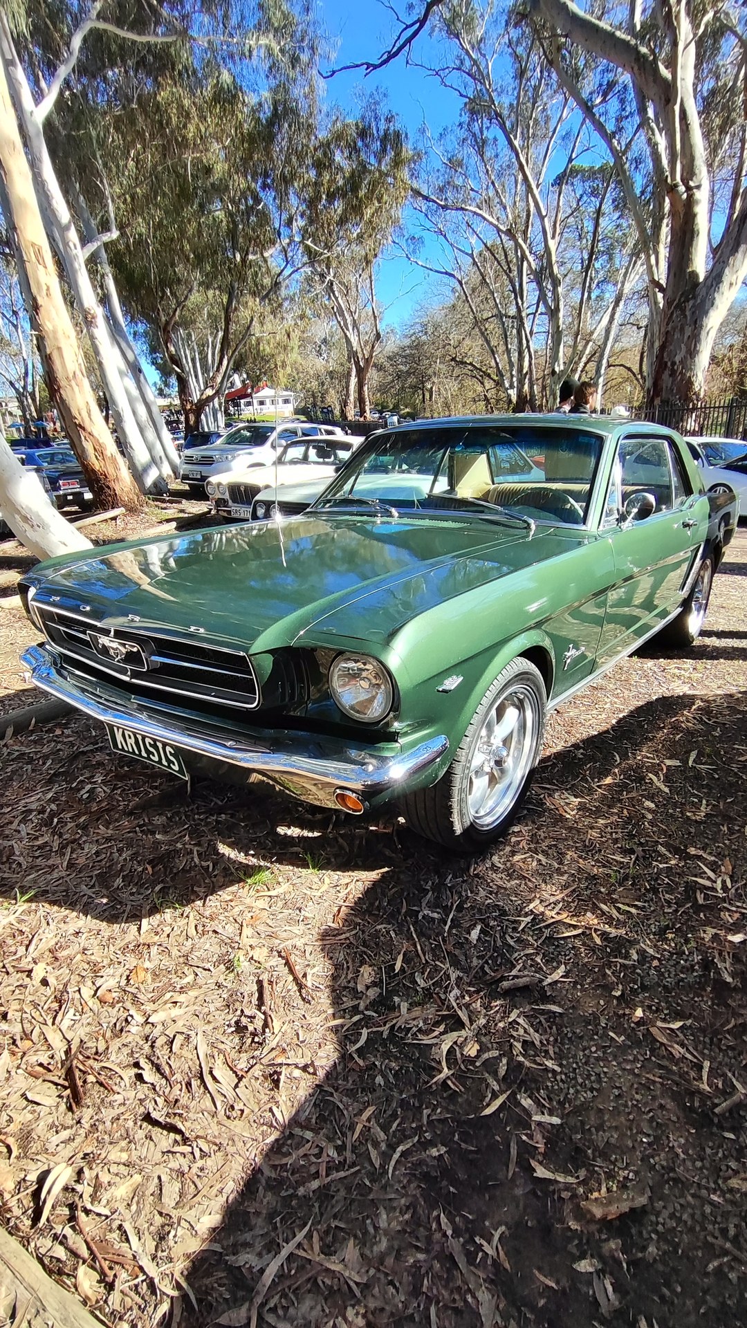 Adelaide Hills COFFEE RUN! Gumeracha, part 23 of 38.

Green Ford Mustang 1st Gen · KRISIS
Ford Escort MKII · RUST13