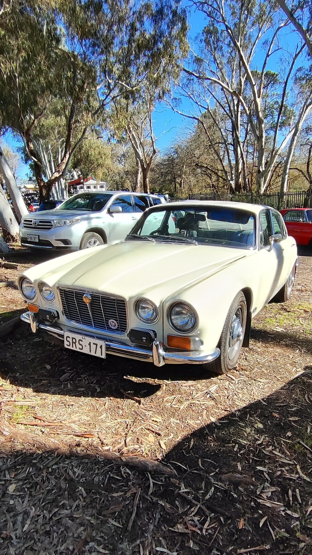 Adelaide Hills COFFEE RUN! Gumeracha, part 24 of 38.

Jaguar XJ · SRS171
Red Ford Mustang S550 #2 · XD656V
White Holden 