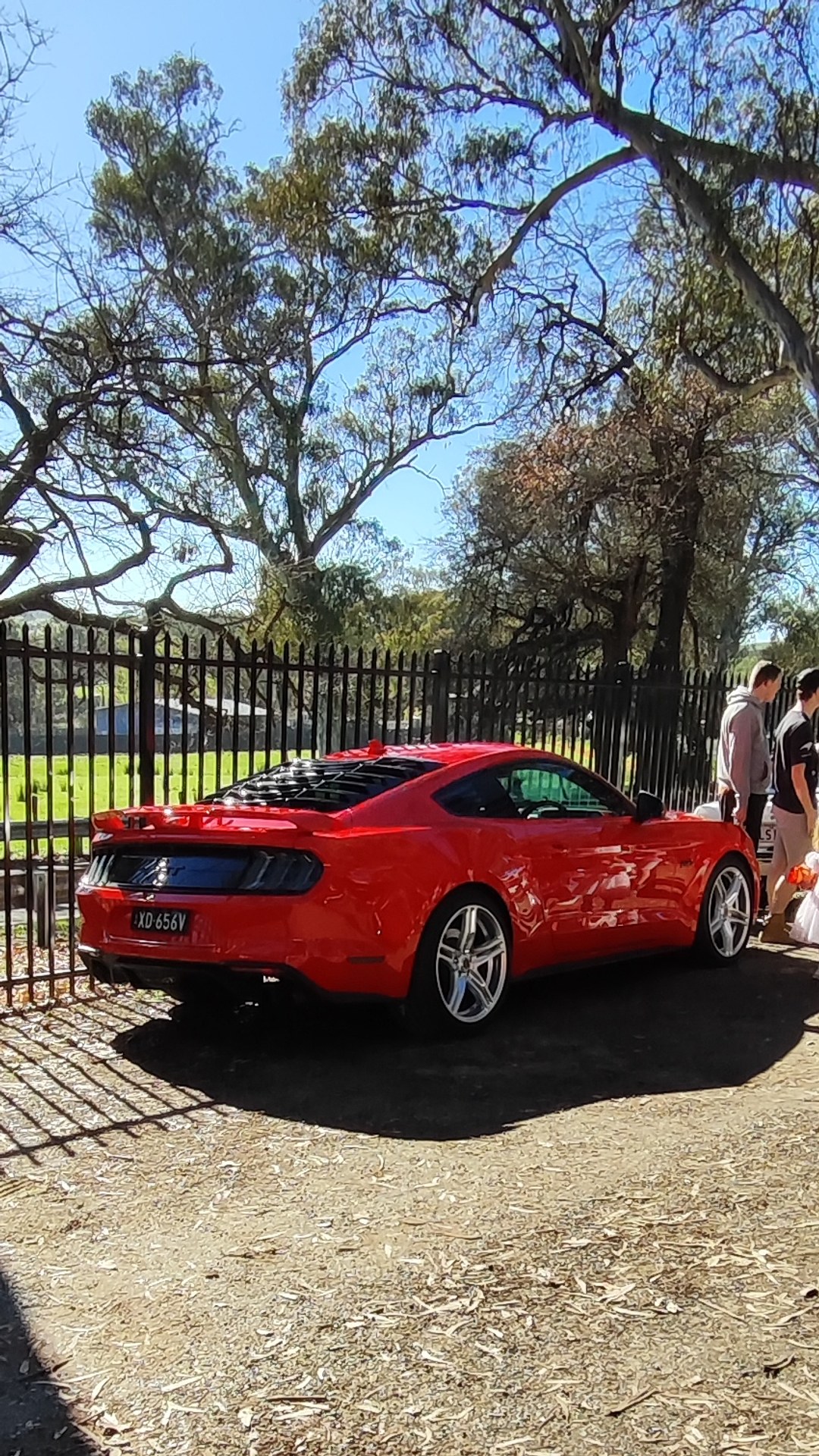 Adelaide Hills COFFEE RUN! Gumeracha, part 24 of 38.

Jaguar XJ · SRS171
Red Ford Mustang S550 #2 · XD656V
White Holden 