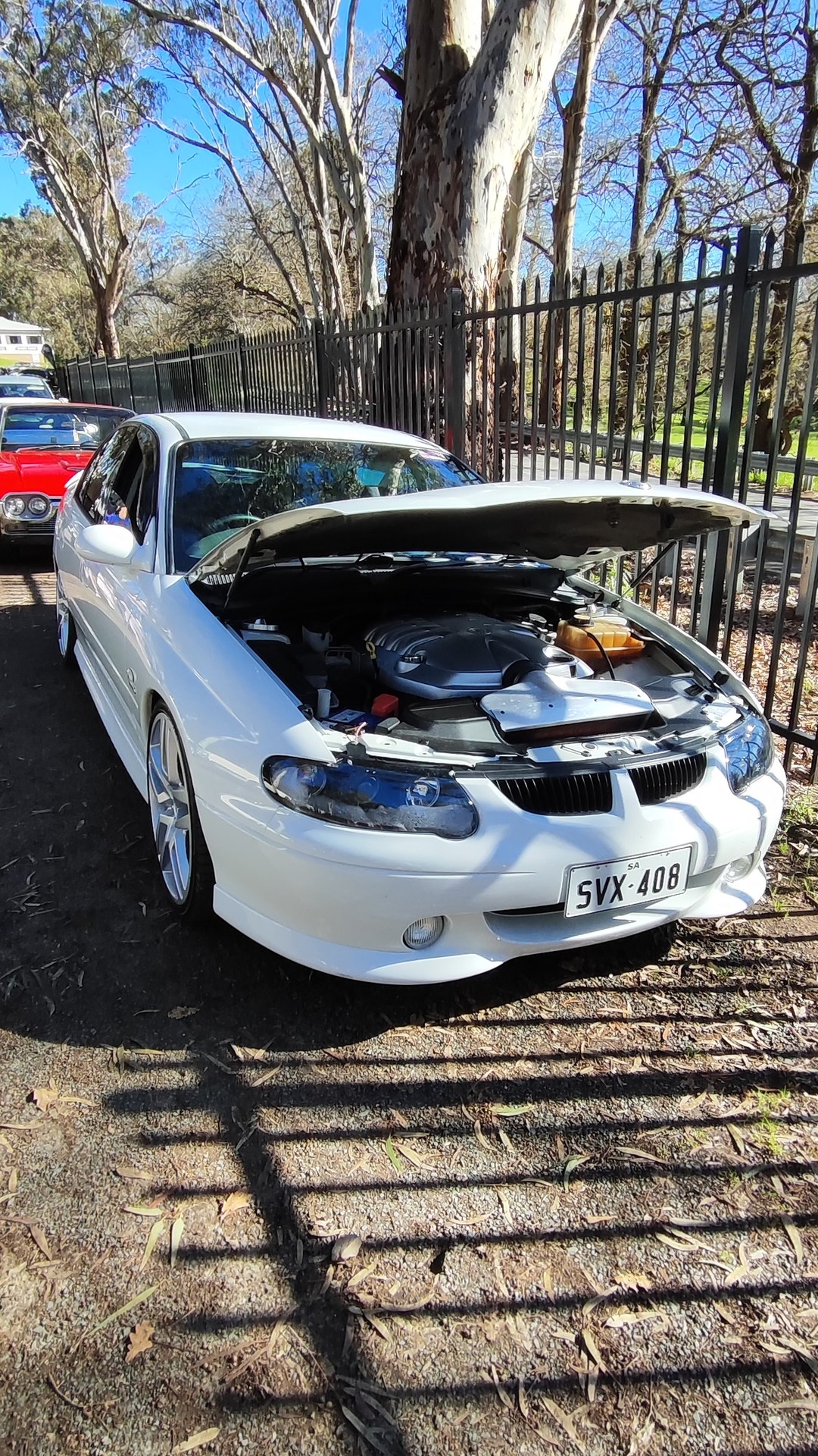 Adelaide Hills COFFEE RUN! Gumeracha, part 24 of 38.

Jaguar XJ · SRS171
Red Ford Mustang S550 #2 · XD656V
White Holden 