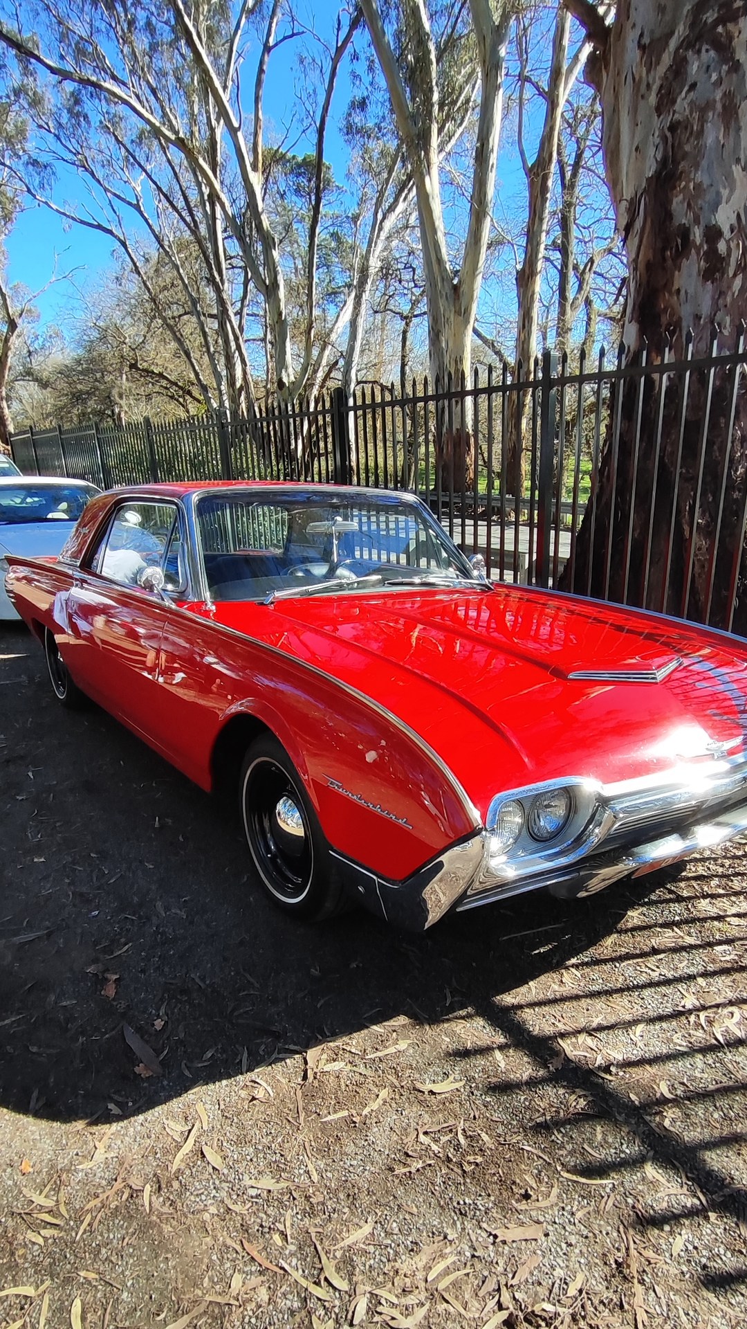 Adelaide Hills COFFEE RUN! Gumeracha, part 25 of 38.

Ford Thunderbird · TBIRD61
Holden Commodore VT · INTROVT
Purple Ho