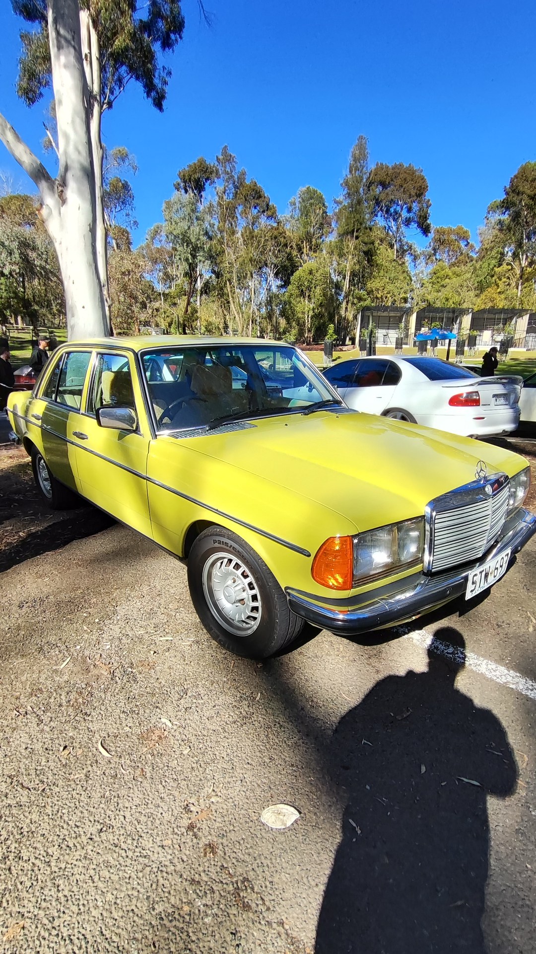 Adelaide Hills COFFEE RUN! Gumeracha, part 26 of 38.

White Holden Commodore VN · VAX101
Ford F150 · S574CMB
Holden Comm