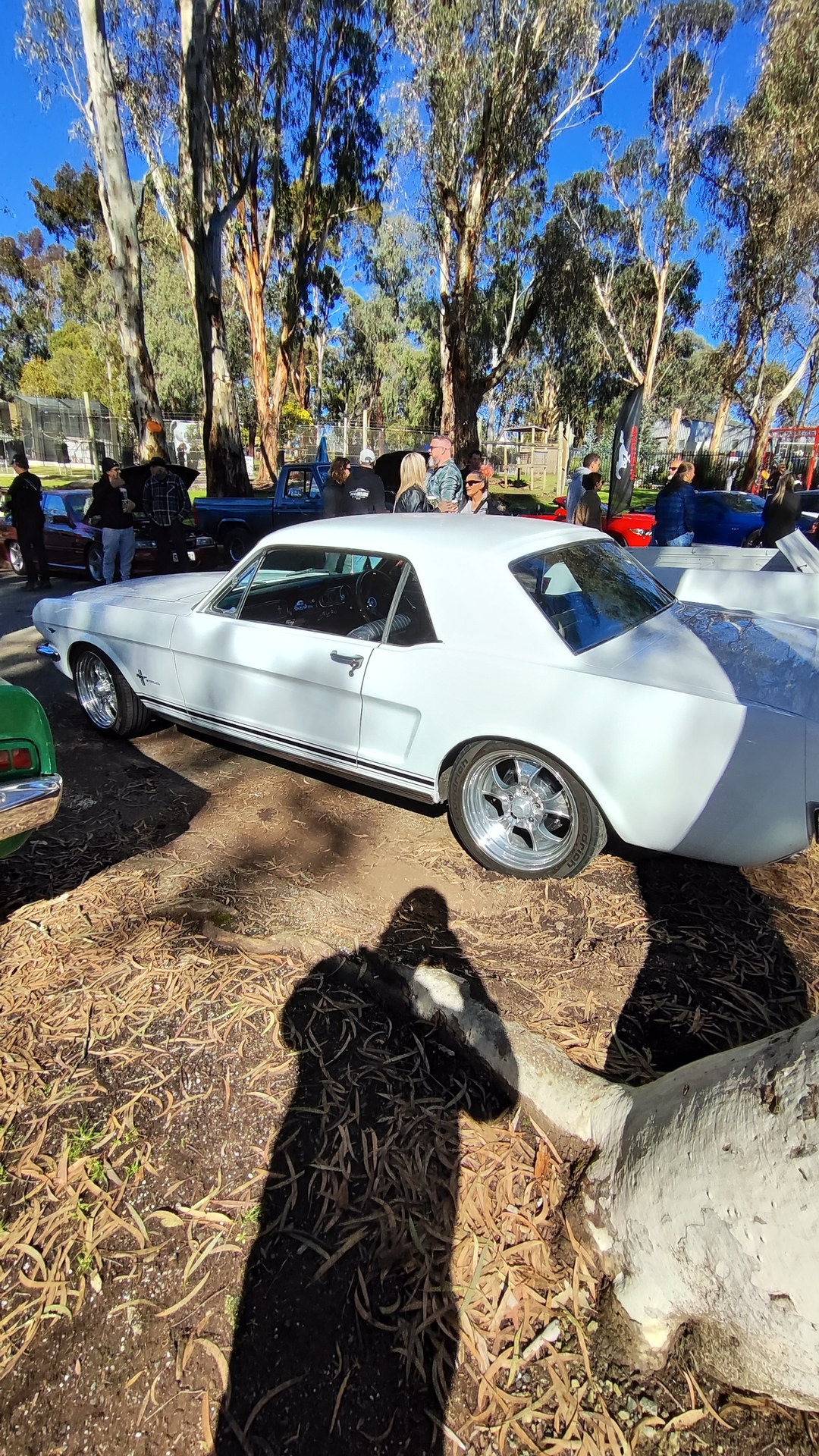 Adelaide Hills COFFEE RUN! Gumeracha, part 31 of 38.

White Ford Mustang 1st Gen #2 · S669AJN
Bronze Mazda RX7 · AA812A