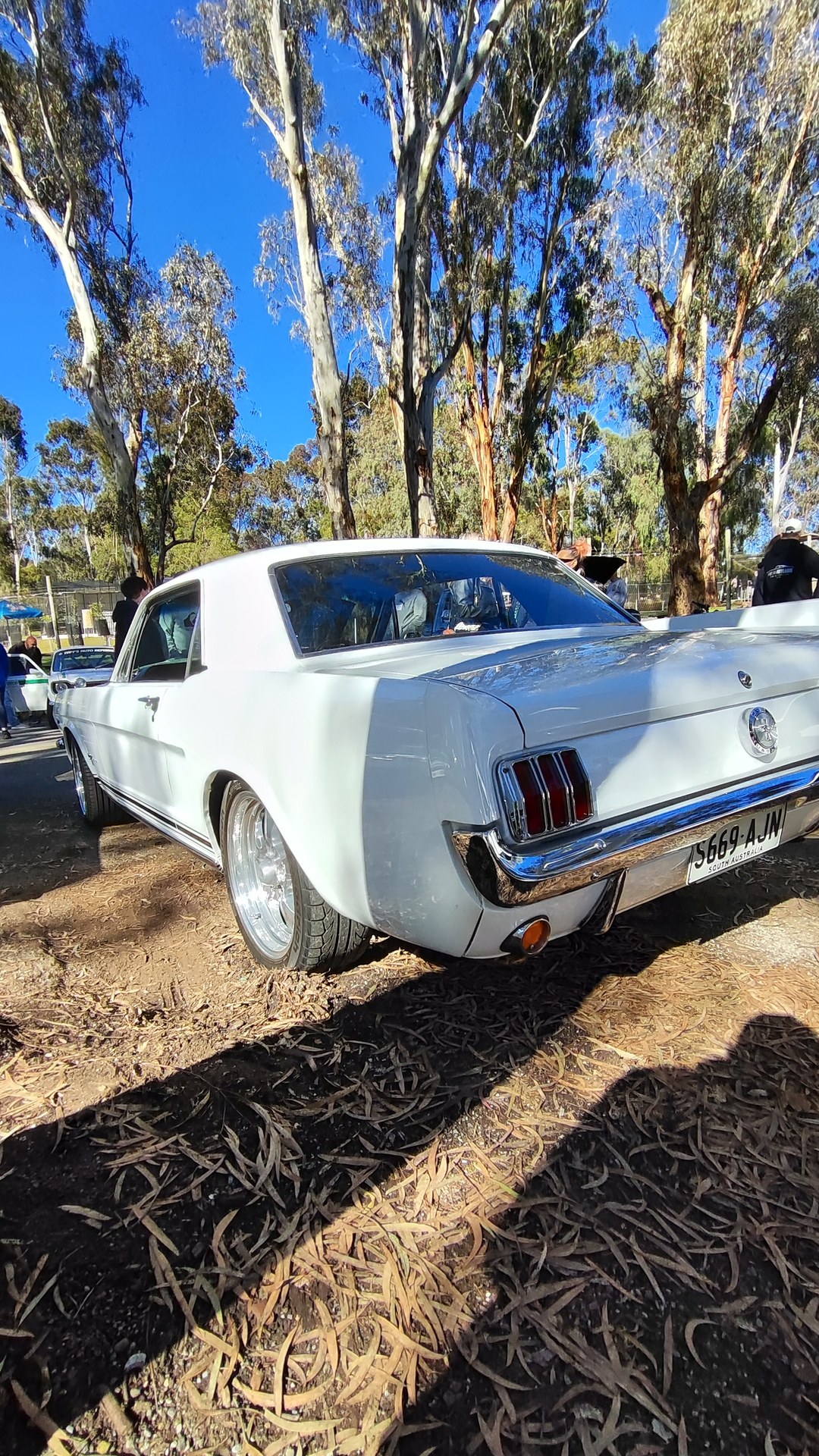 Adelaide Hills COFFEE RUN! Gumeracha, part 31 of 38.

White Ford Mustang 1st Gen #2 · S669AJN
Bronze Mazda RX7 · AA812A