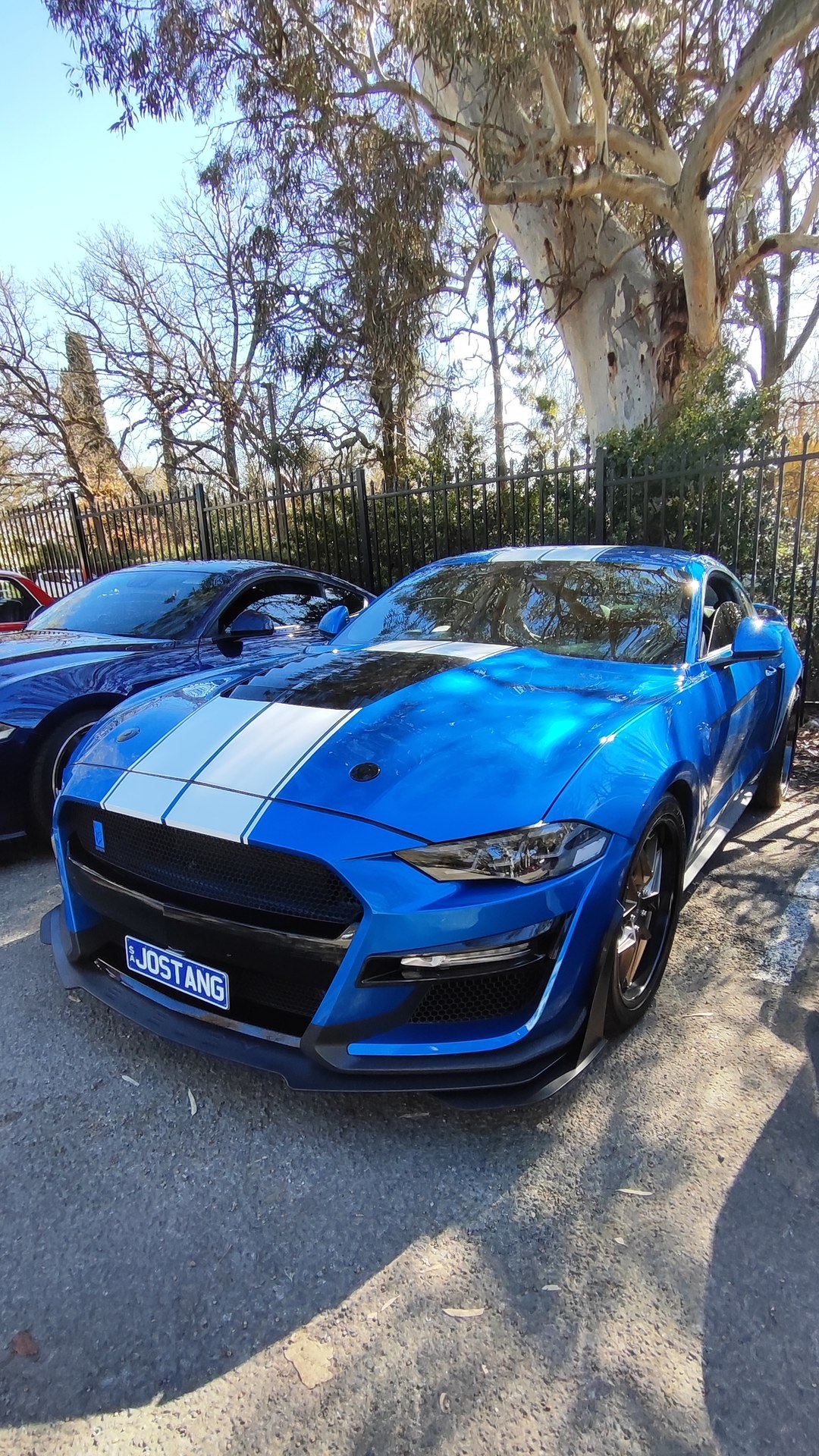 Adelaide Hills COFFEE RUN! Gumeracha, part 34 of 38.

Orange red Holden Commodore VK · USZ512
White Ford Mustang S550 · 