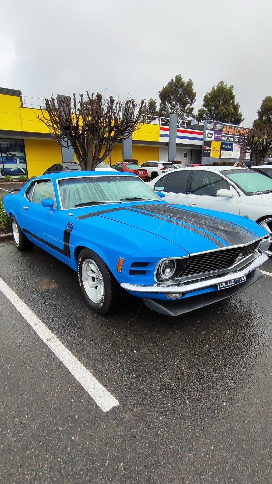 Ford Mustang 1st Gen · BLUE70