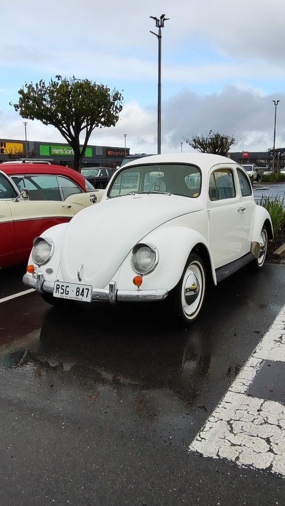 Volkswagen Beetle 1st Gen · RSG847