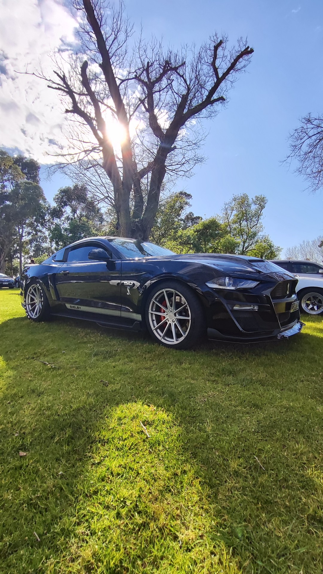 Ford Mustang S550 GT 5.0 · CARROLL
