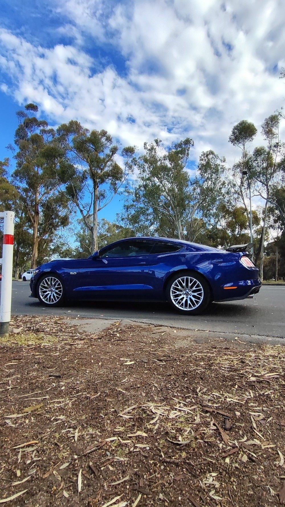 Ford Mustang S197 GT 5.0
