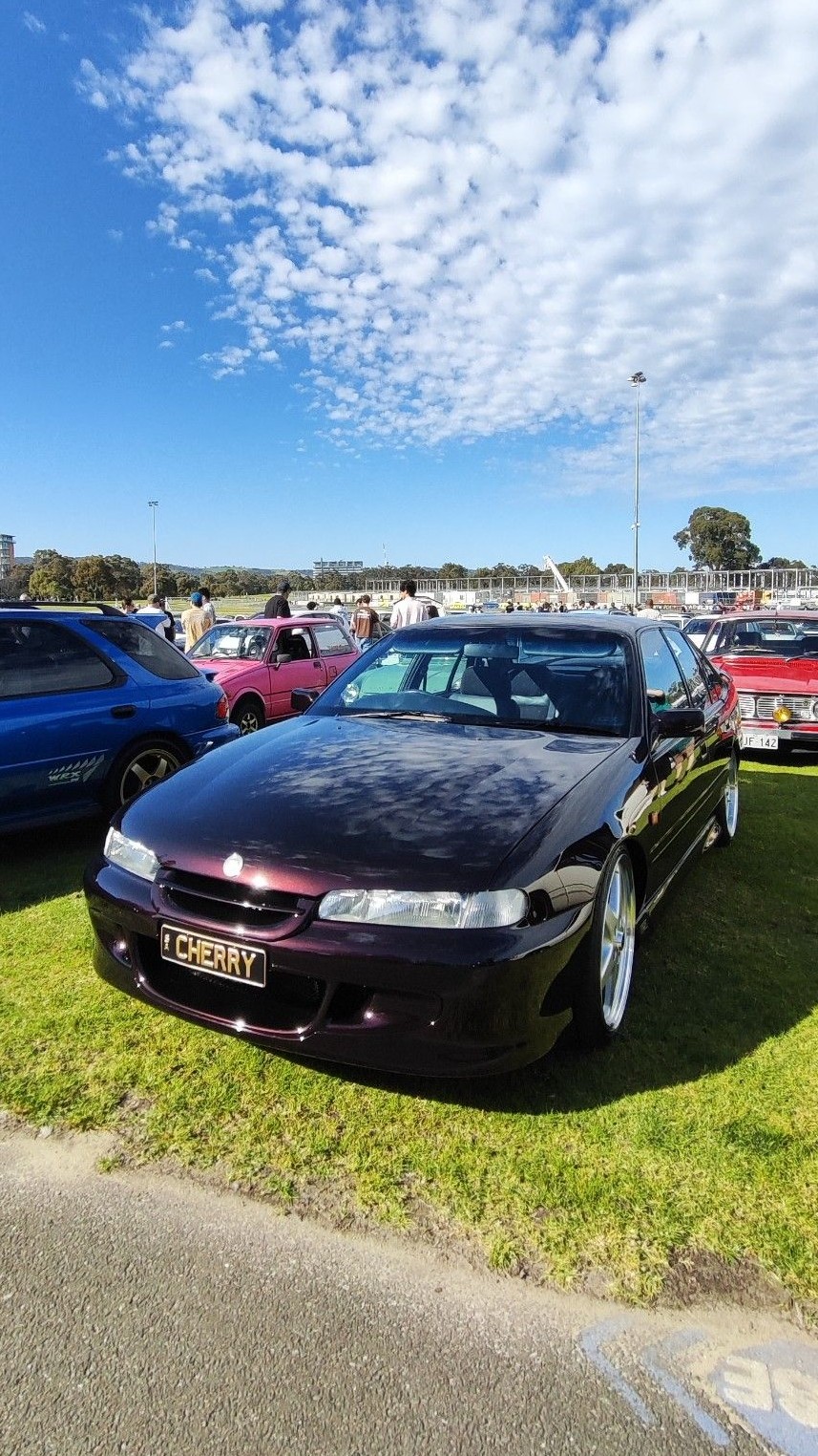 Holden Commodore VS V8 Supercar · CHERRY