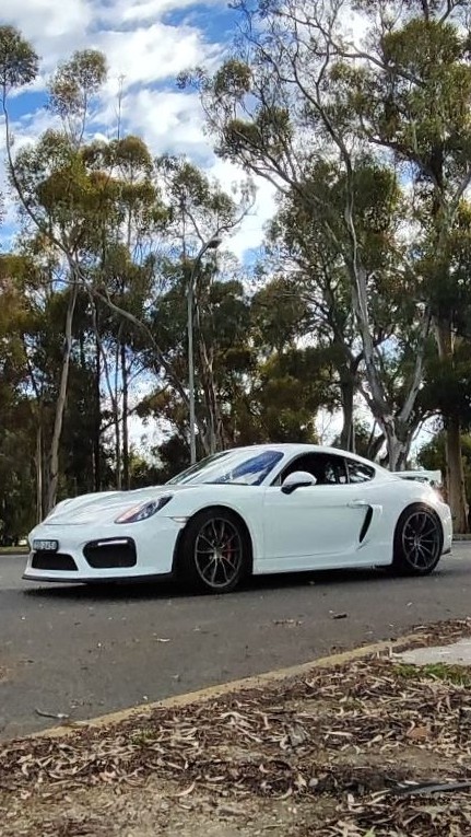 Porsche Cayman 981 GT4