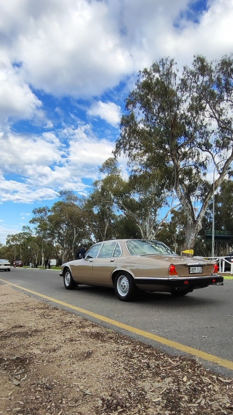 Jaguar XJ Series 3 · S805DJZ