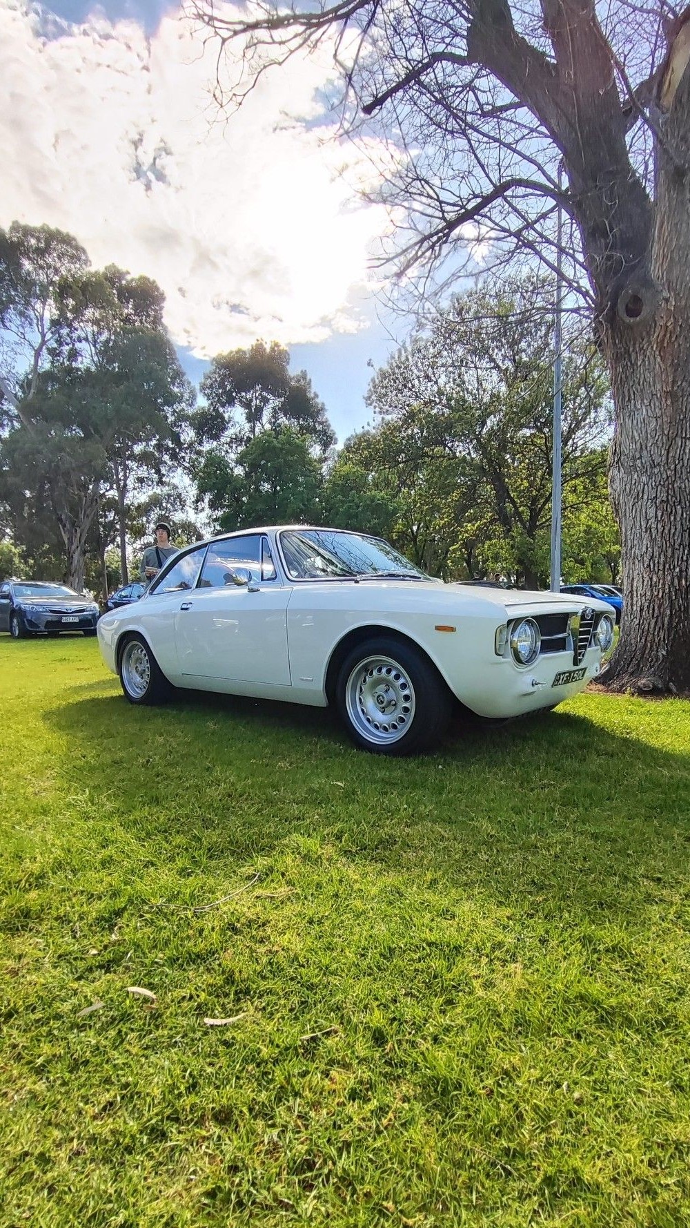 Alfa Romeo Giulia 105 GT Junior