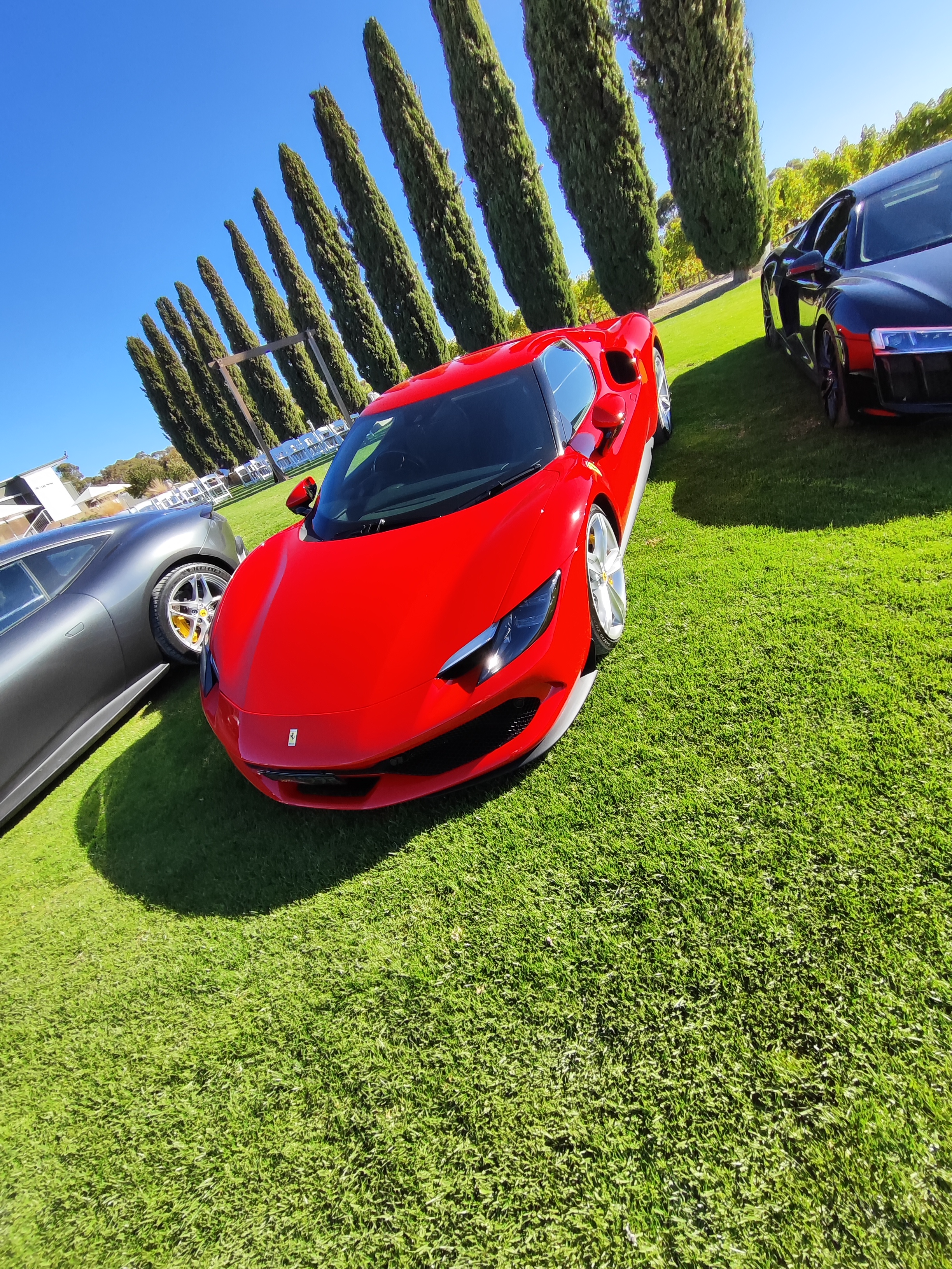What a sexy car.
