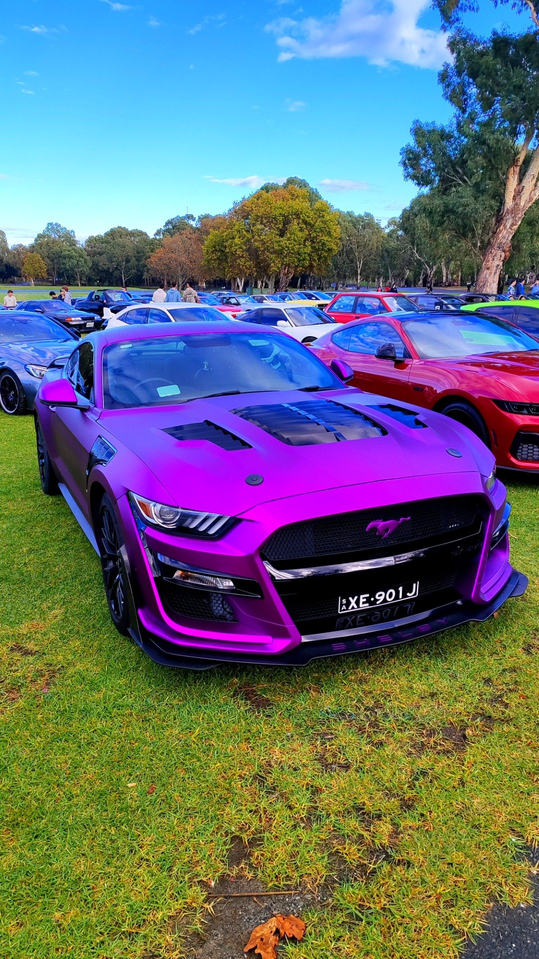 A wild looking Stang at @Vic Park Pitstop#events/vic-park-pitstop‌ 💜💜💜
