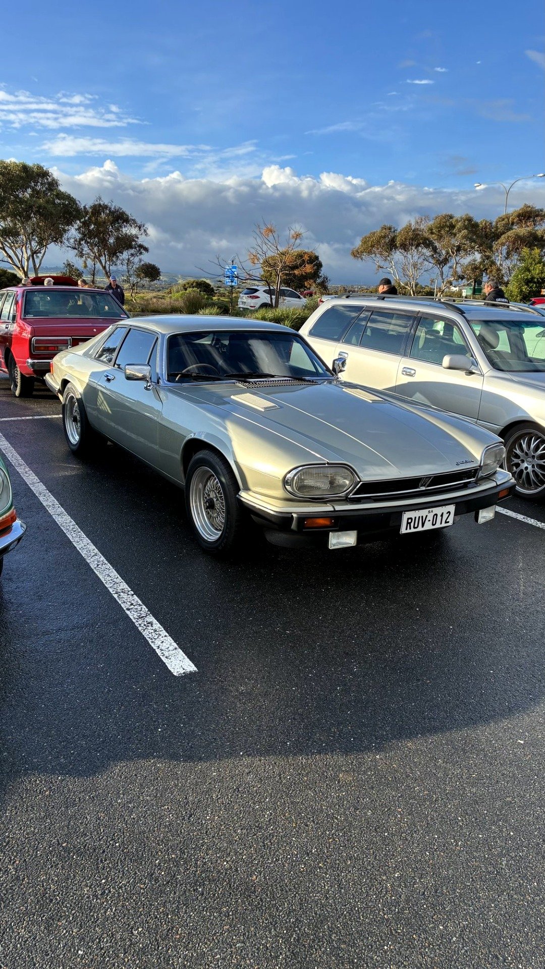 @cars-on-coast