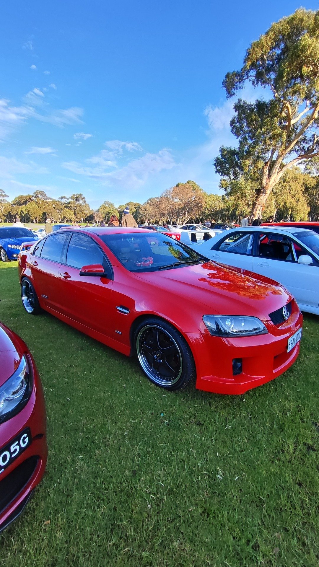 @vic-park-pitstop