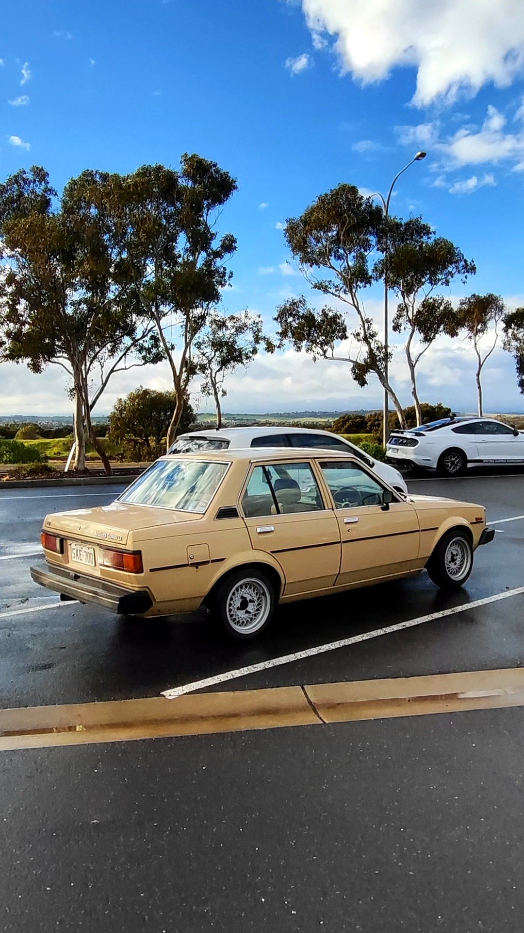 @cars-on-coast