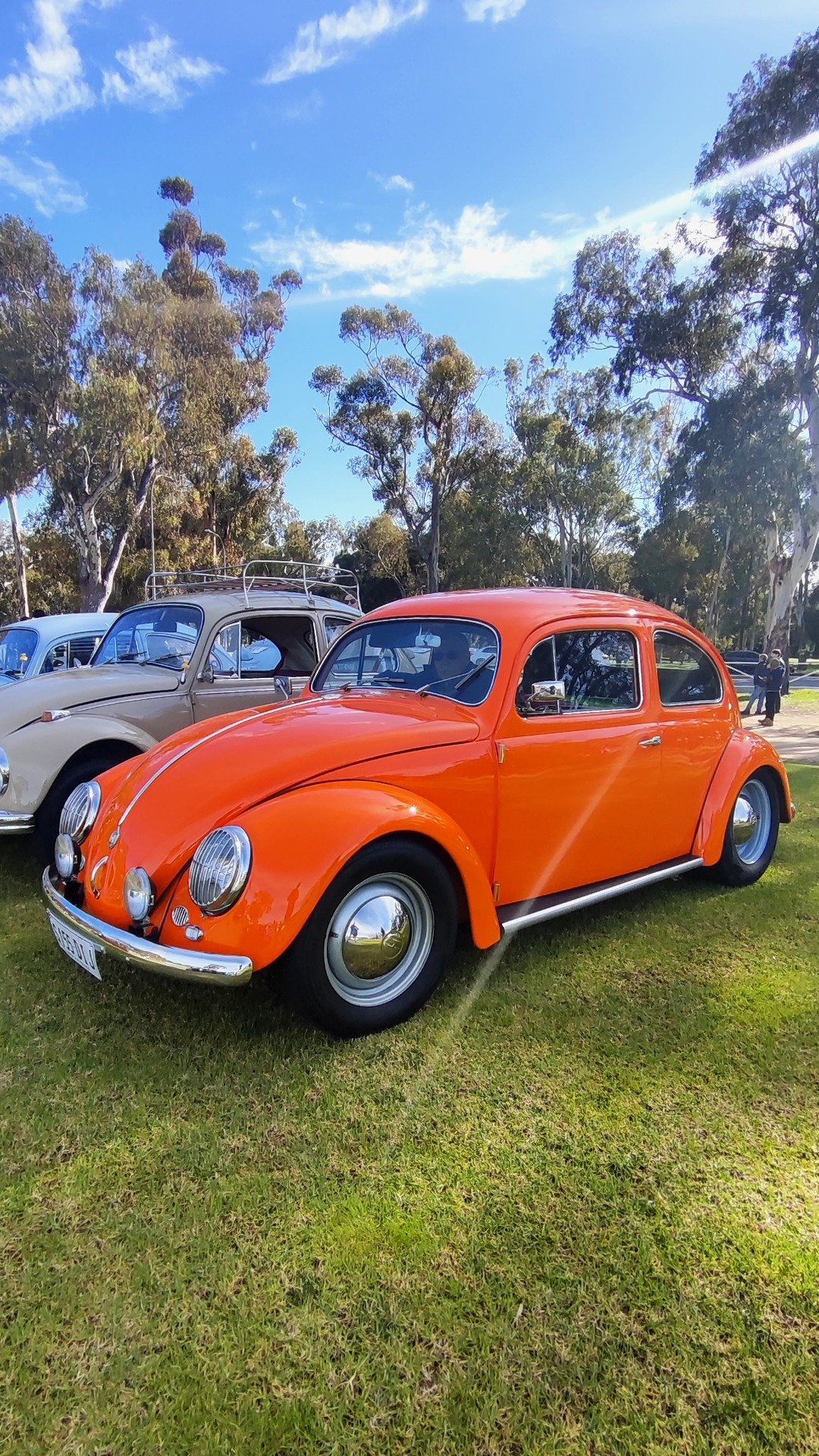 @Aksel and @Leila checking out a cute orange beetle.