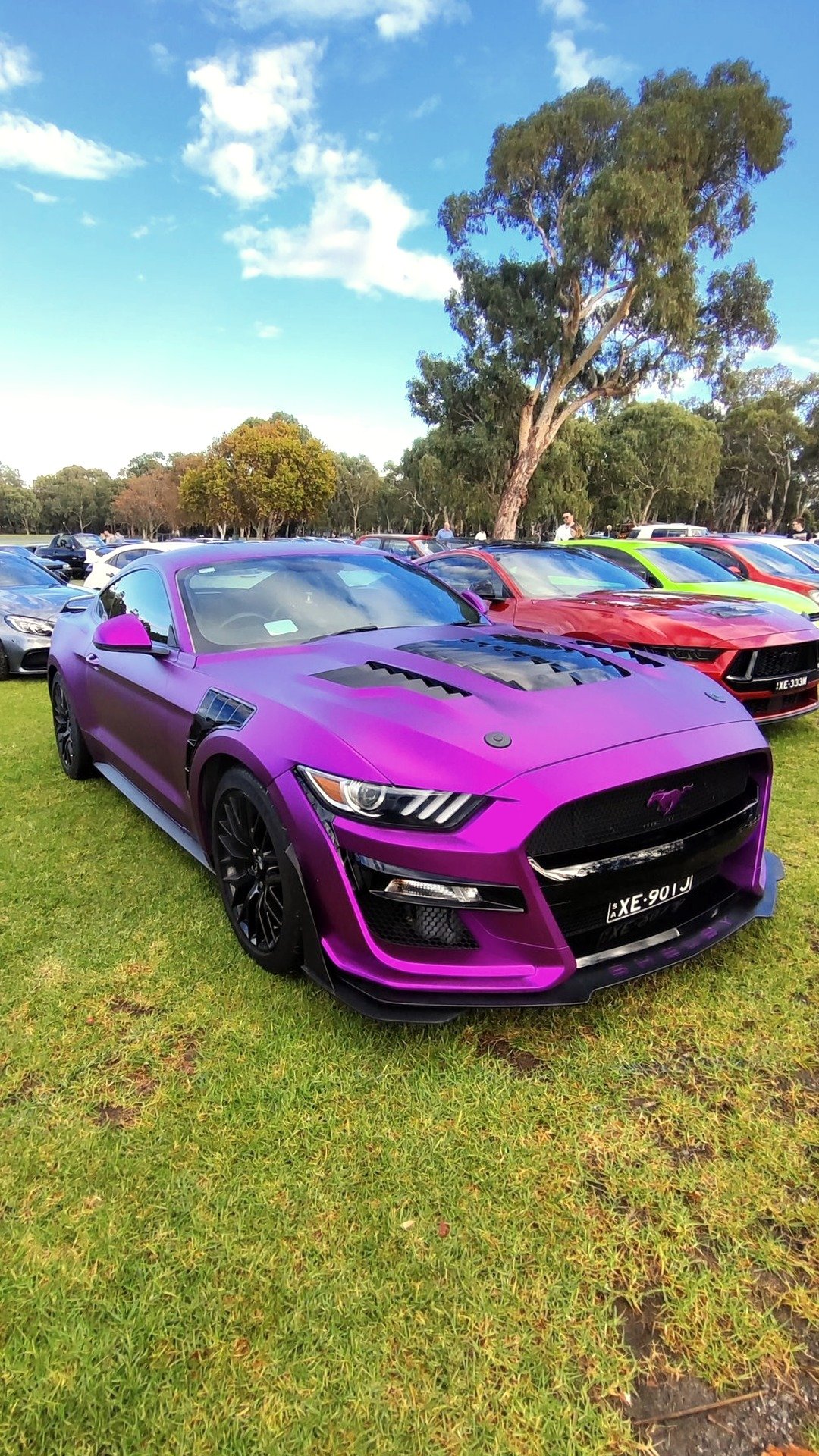 @Vic Park Pitstop#events/vic-park-pitstop‌