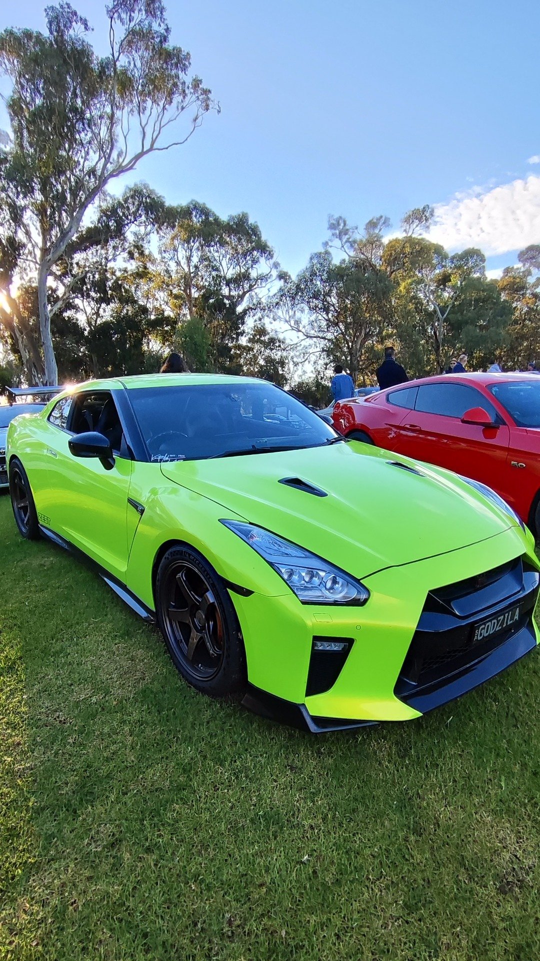 @vic-park-pitstop This colour is wild.