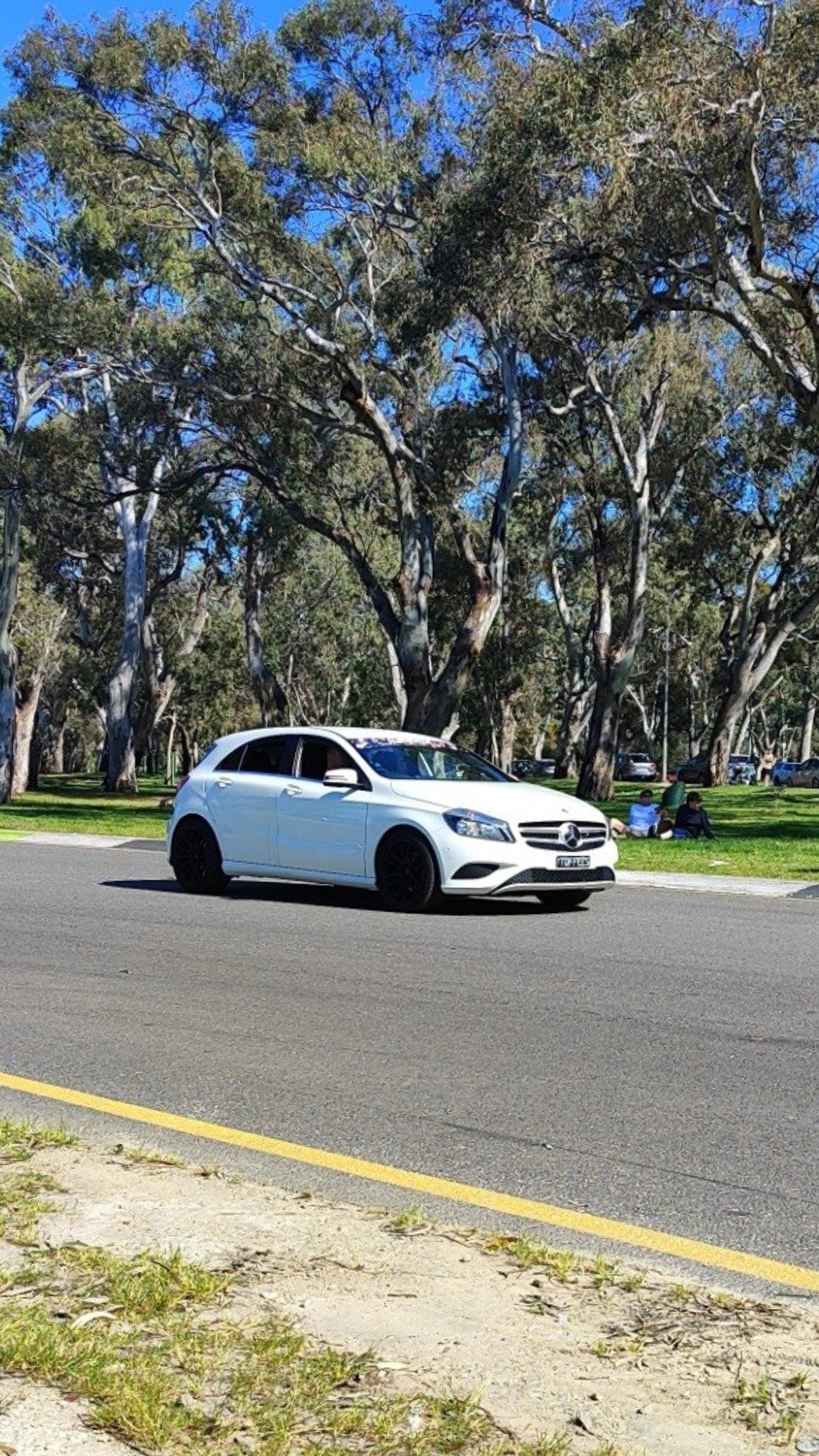 @vic-park-pitstop