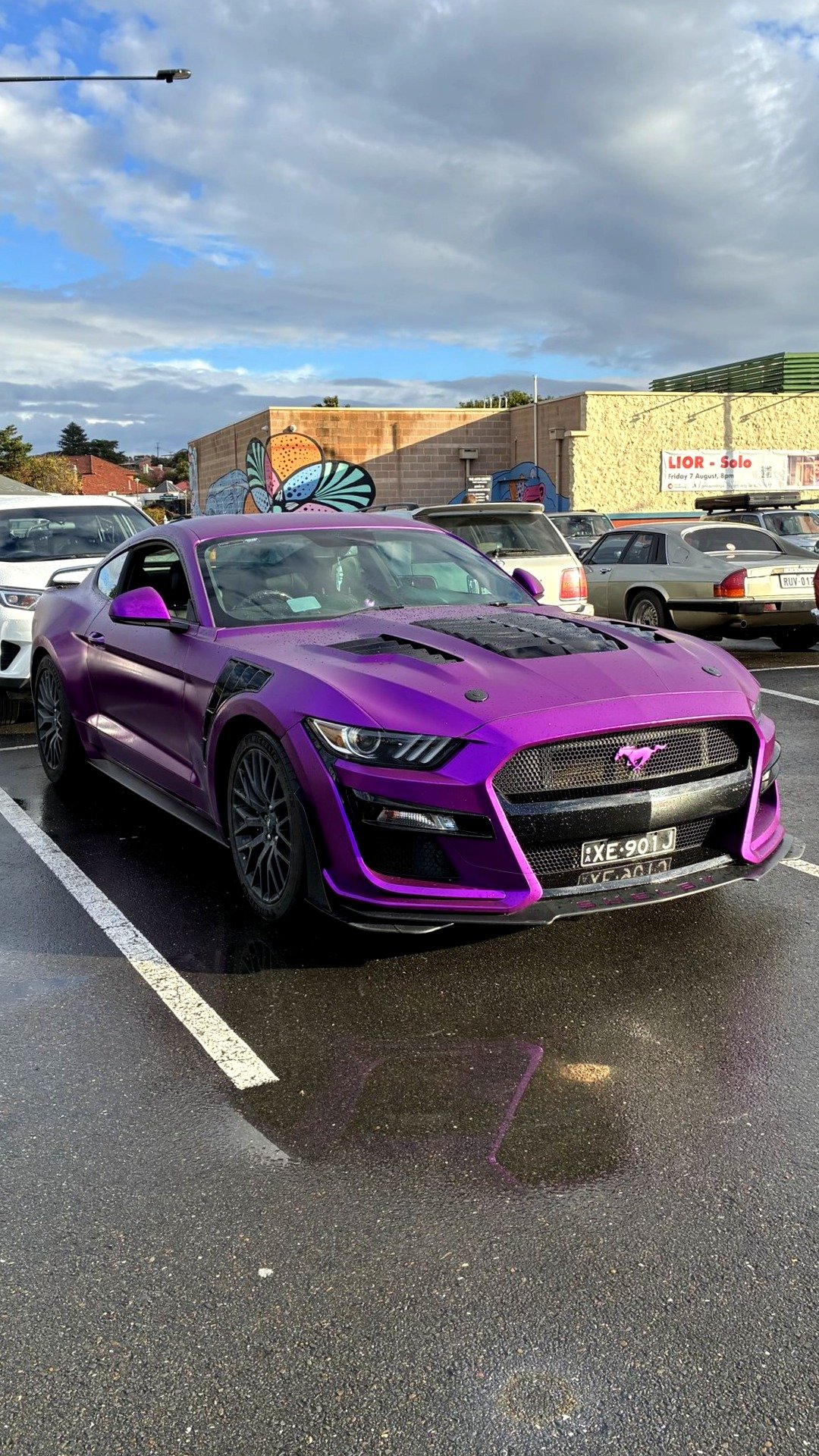@cars-on-coast If you haven't seen this car around, you clearly don't go to car meets. #purple