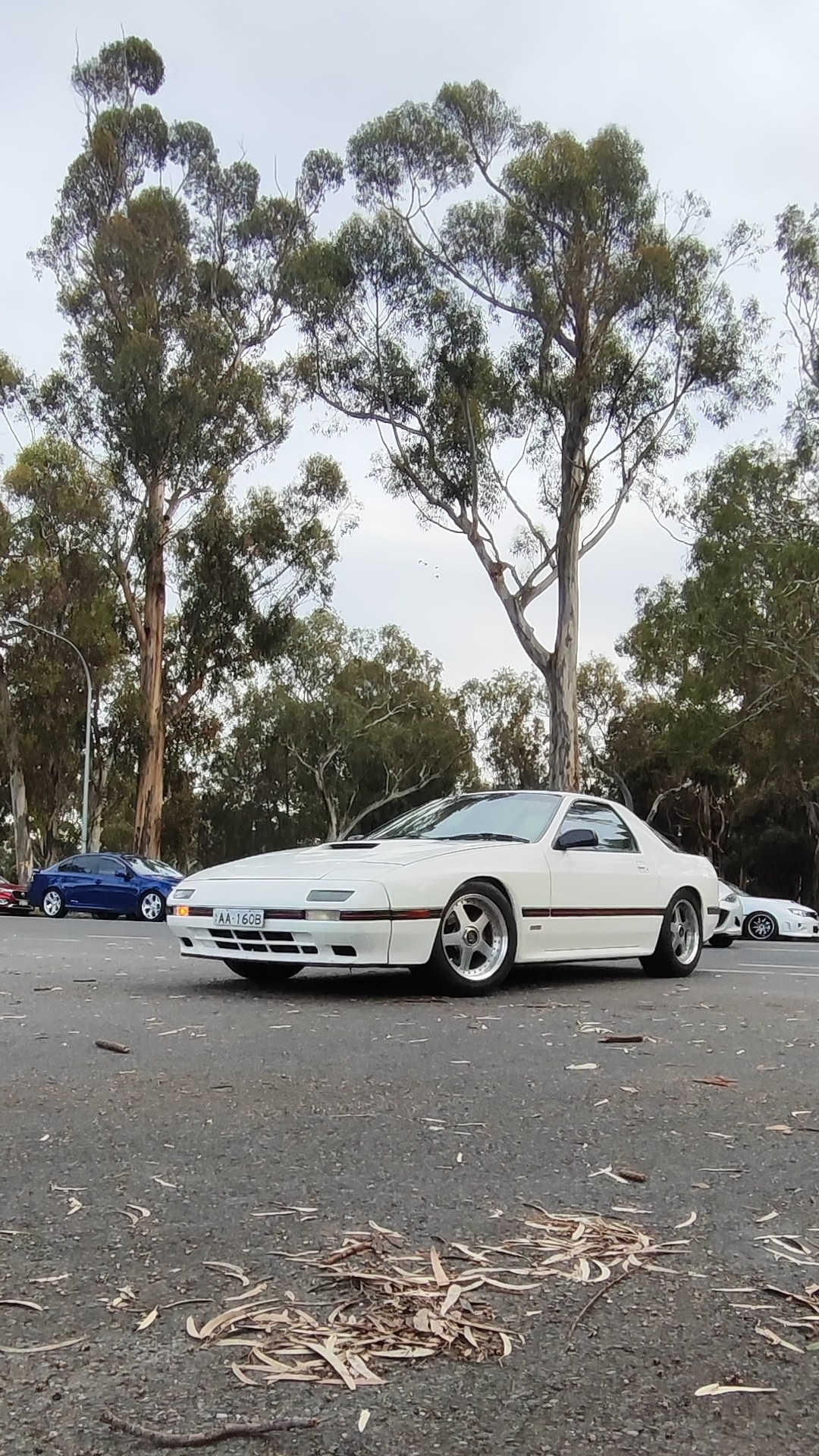 Vic Park Pitstop, 16 August 2026. Cars 253 to 264 of the day.