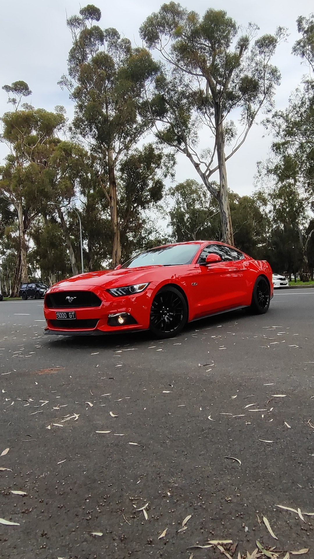 Vic Park Pitstop, 16 August 2026. Cars 337 to 348 of the day.