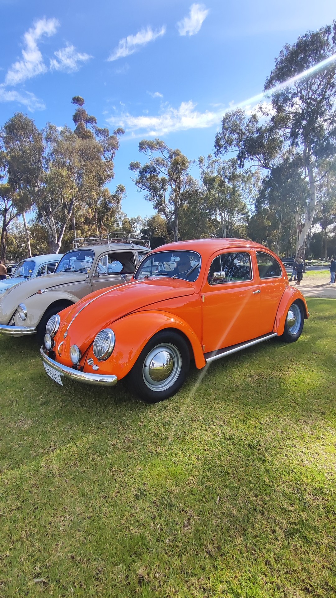 Volkswagen Beetle (classic) at Vic Park Pitstop, 16 August 2026.