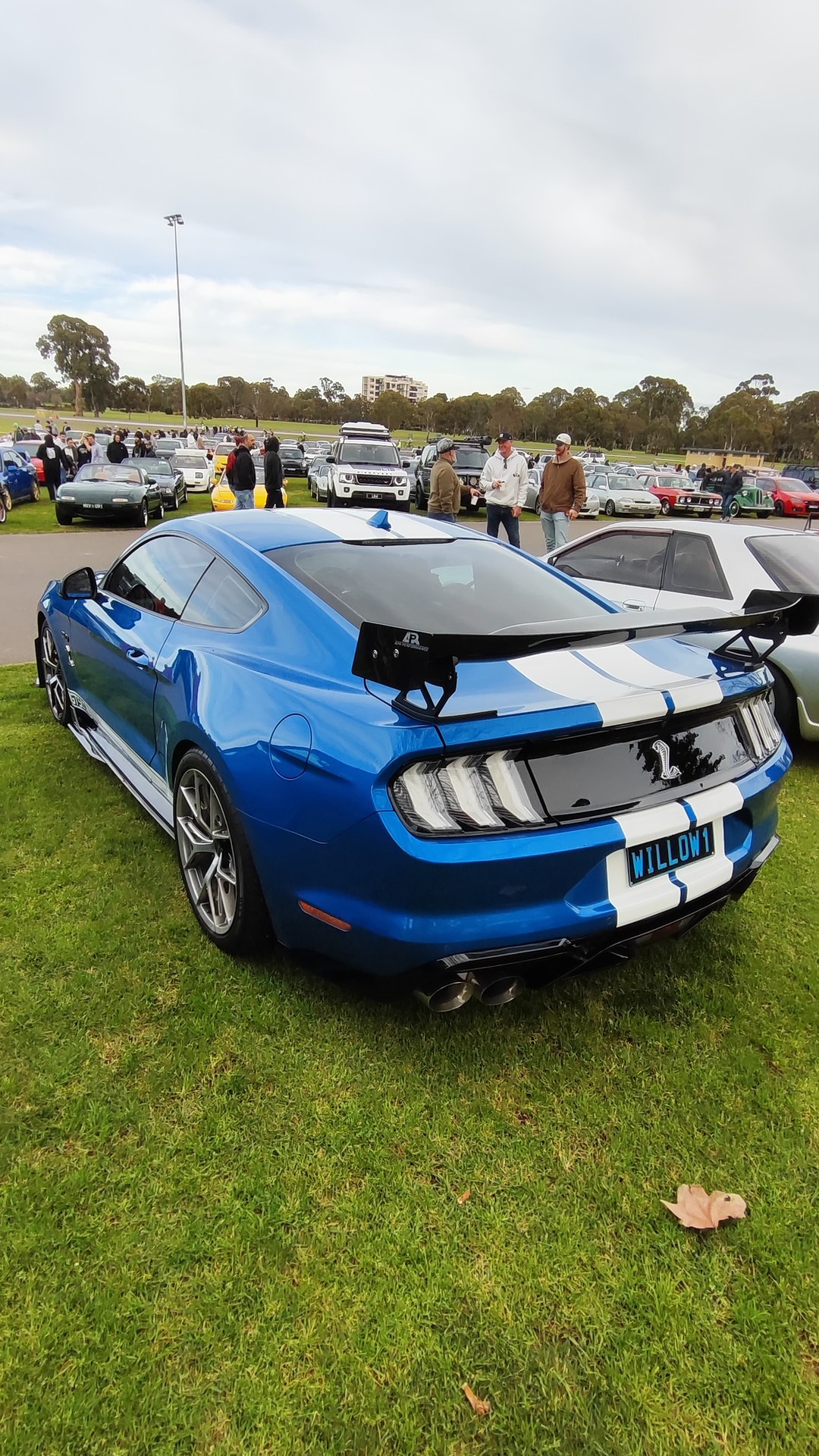 Ford Mustang Shelby GT500 (S550) at Vic Park Pitstop, 16 August 2026.