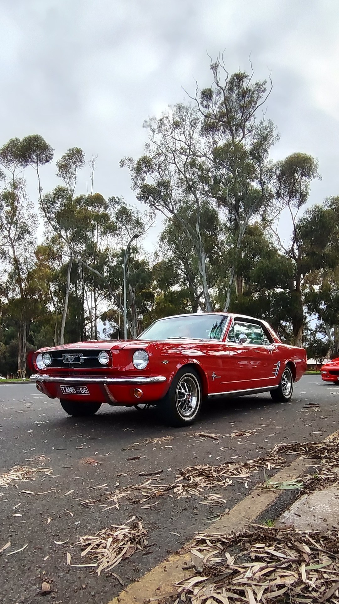 Vic Park Pitstop, 16 August 2026. Cars 241 to 252 of the day.