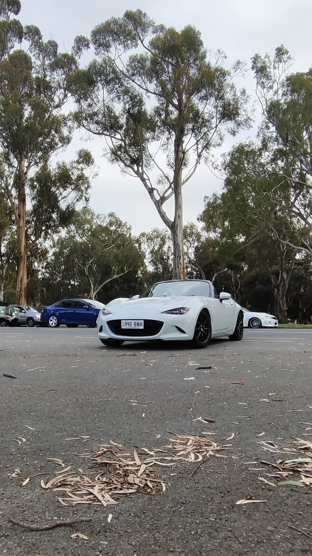 Vic Park Pitstop, 16 August 2026. Cars 253 to 264 of the day.