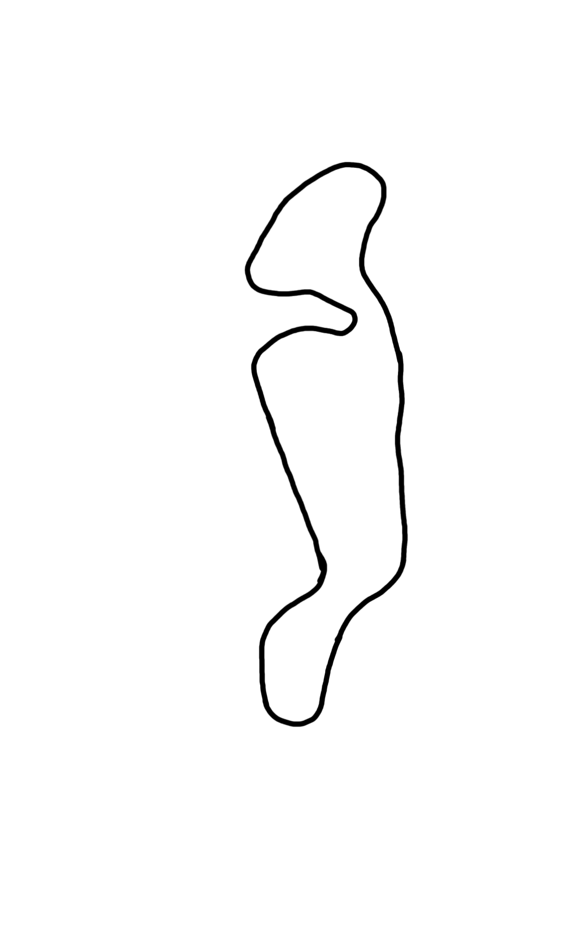 Atlantic Motorsport Park circuit layout