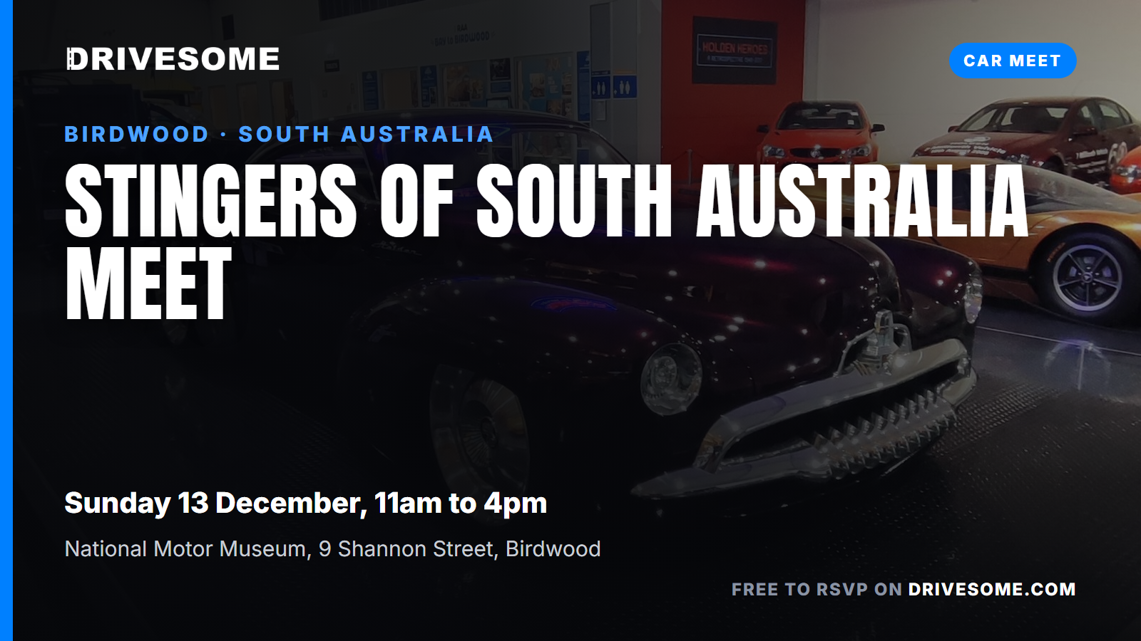 Stingers of South Australia Meet