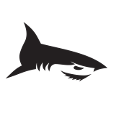 Great Whites