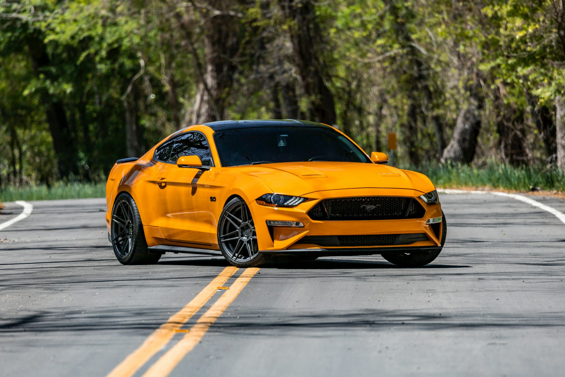 Great colour on this @Ford Mustang FN#fordmustangfn‌