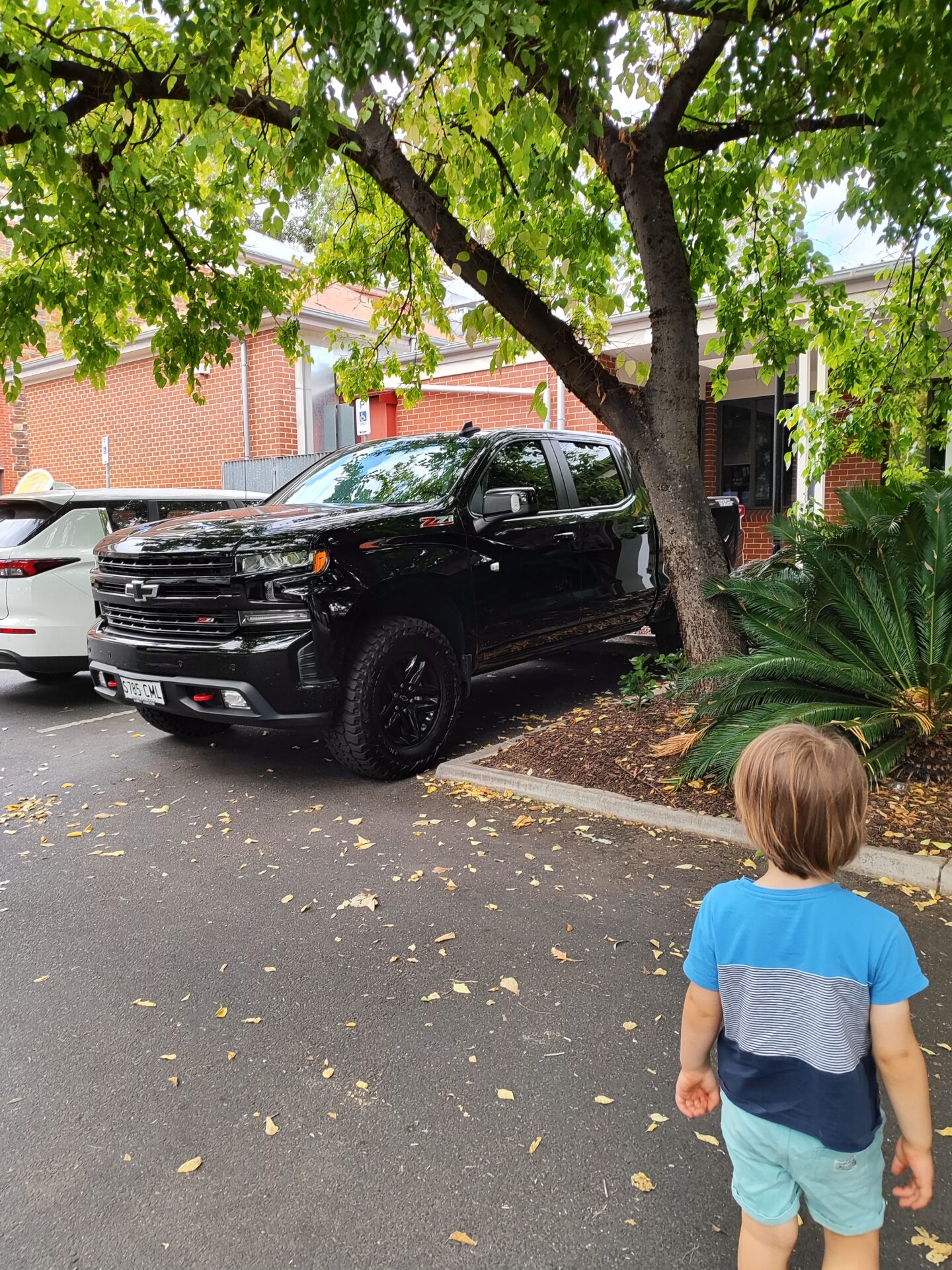 Ok I love big trucks but these American trucks are huge. @Chevrolet Silverado T1XX#chevroletsilveradot1xxโ #black #zr2