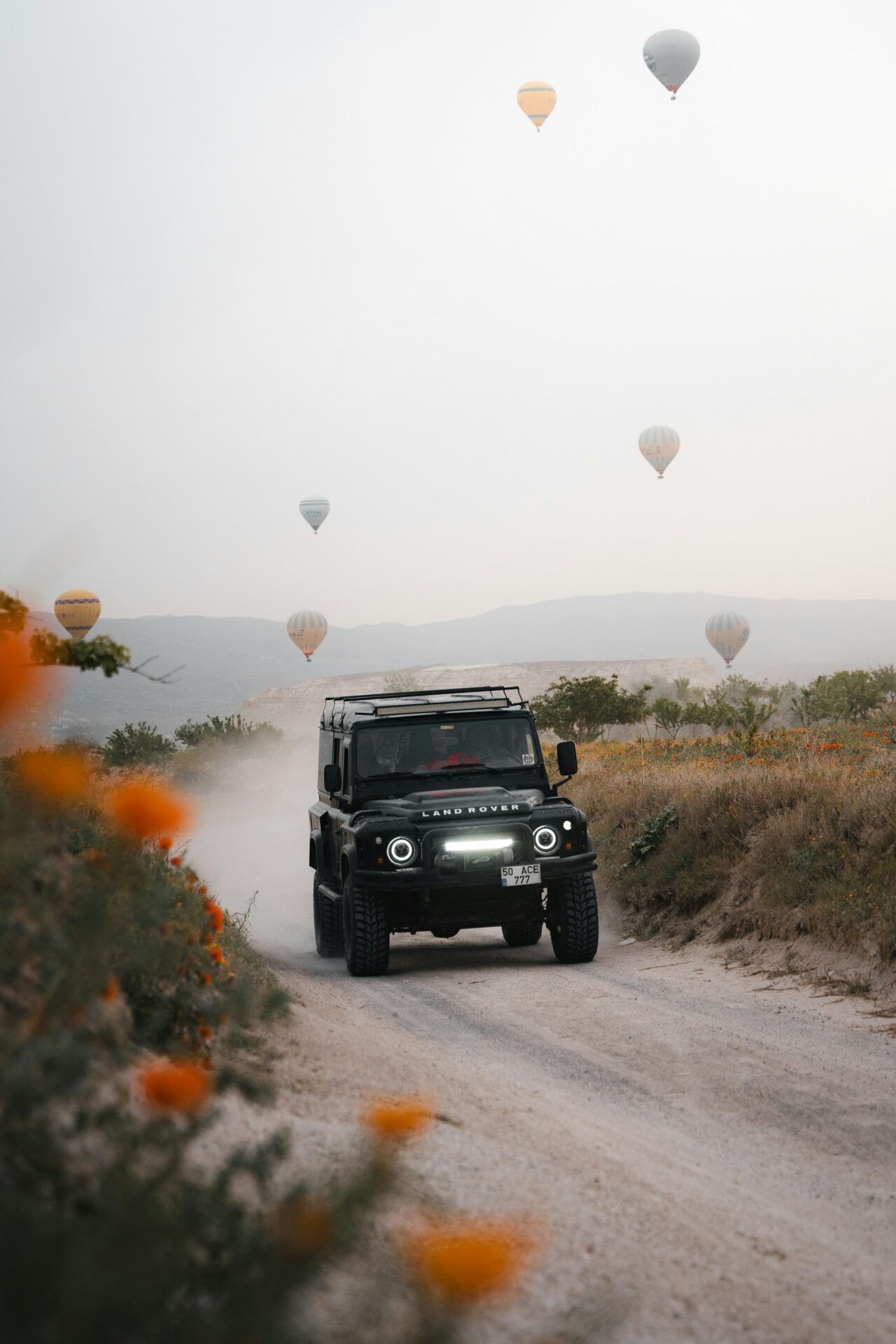 Highly Customizable: From special editions to bespoke conversions for utility, military, and even luxury purposes, the D