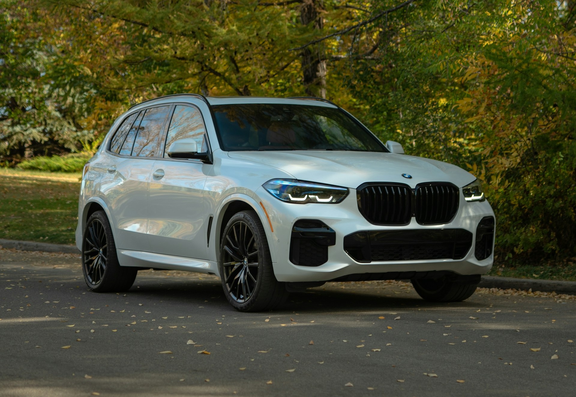 What a great looking SUV what would you take over the BMW X5 G05 $sexy